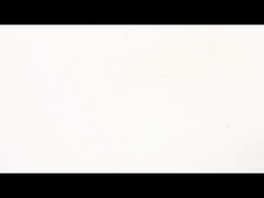 NEMA 11 볼 스크루 스테퍼 모터 고 정밀 콤팩트 선형 운동